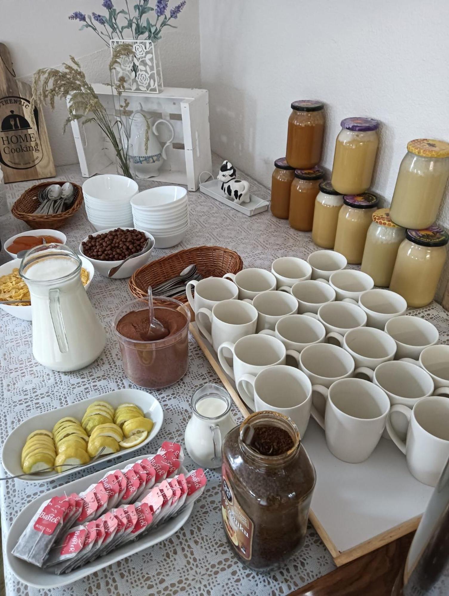 Poranek Bed and Breakfast Wicie  Εξωτερικό φωτογραφία